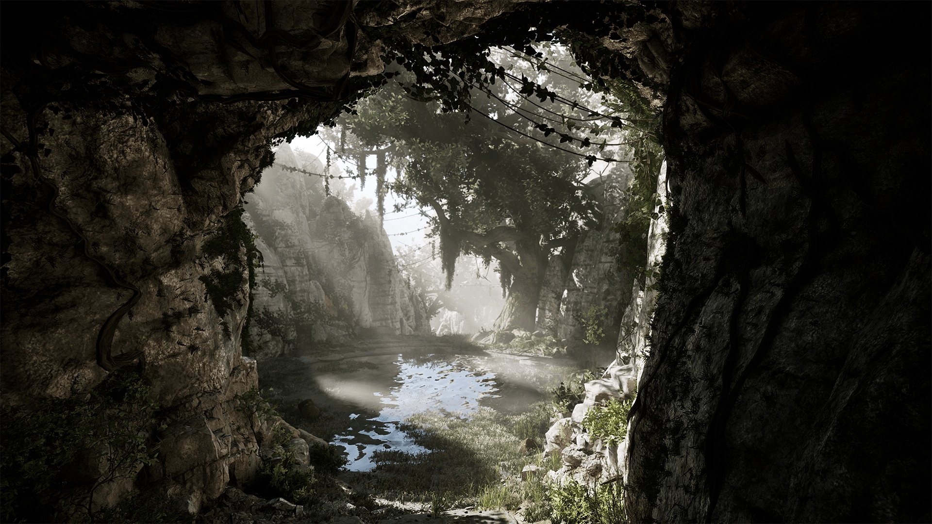 A sunlit pool and trees framed by the mouth of a rocky cave